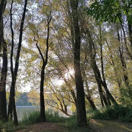 Vikendica Budzak 51 - Holiday home Apatin