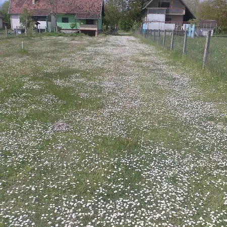 Vikendica Budzak 51 - Holiday home Apatin